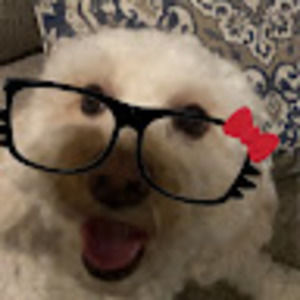 Meet your Posher, Lucia